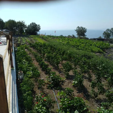 Assos Seyir Konaklari Otel 3*