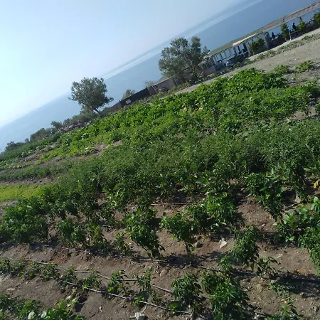 Assos Seyir Konaklari Otel